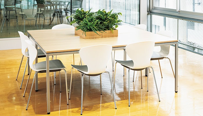 卓上 観葉植物・デスクグリーン