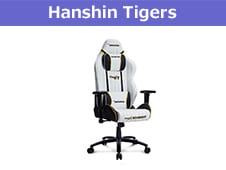 TW-AKR-HANSHIN