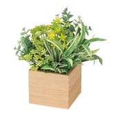 オフィスグリーン・フェイクグリーン