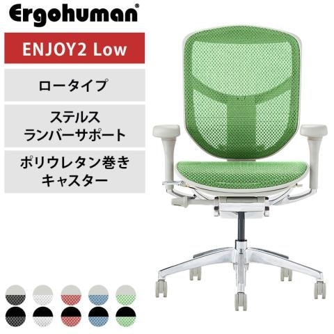 エルゴヒューマン エンジョイ2 ロータイプ