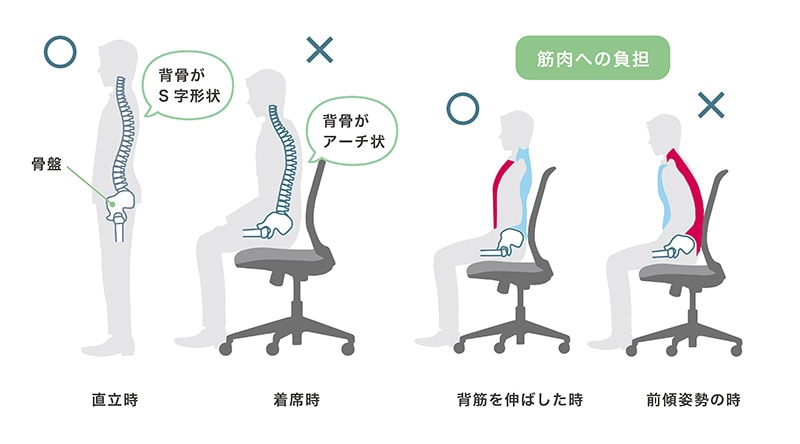 椅子に座っていると腰が痛くなるのはなぜ?