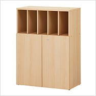 CELVO-2X2XDVD-NA