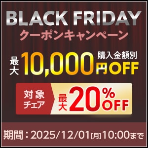 ブラックフライデー